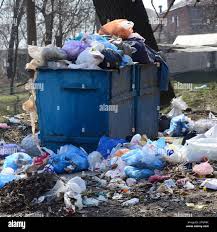 Best Yard Waste Removal  in Webberville, MI