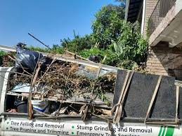 Best Retail Junk Removal  in Webberville, MI