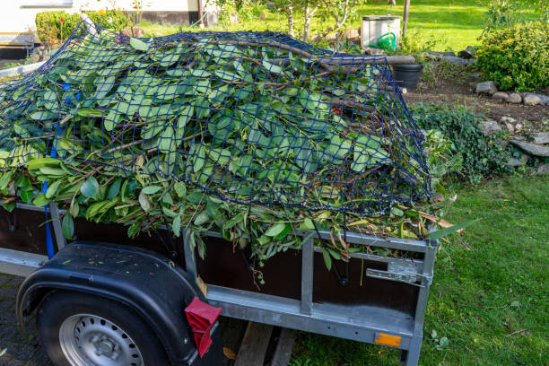 Best Commercial Junk Removal  in Webberville, MI